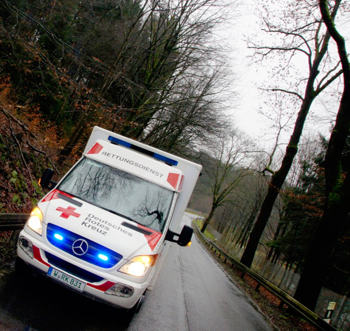 Rettungswagen_Wald